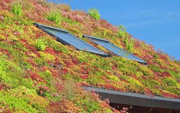 Blaencelyn living roof systems