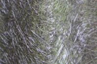 Blaencelyn fibreglass roof work